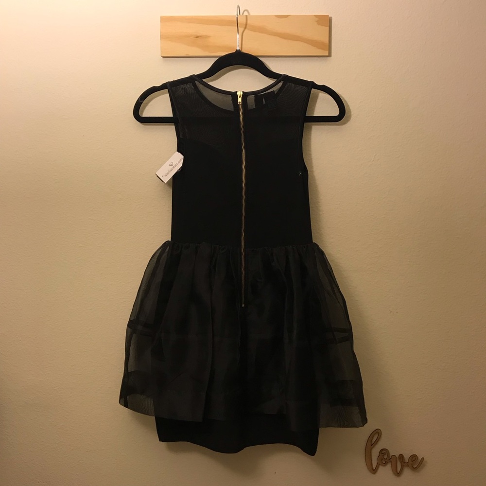 Windsor Black Semi-Sheer Poofy Dress - Picture 5 of 8